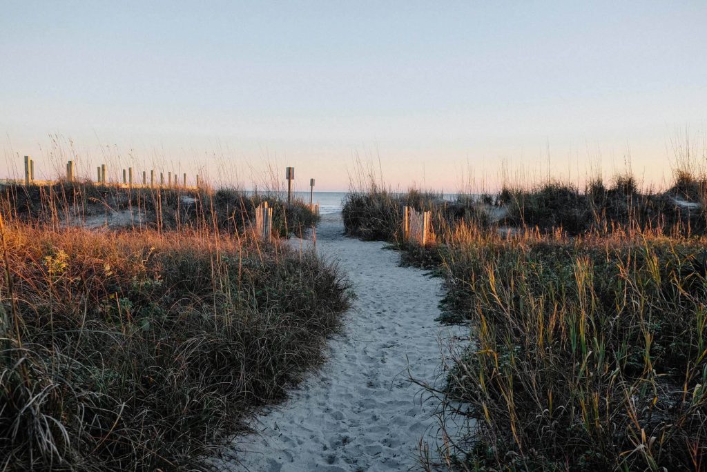 sandy path to the shore representing the beach lifestyle of The Ames apartments summerville sc - Gallery Lifestyle 01